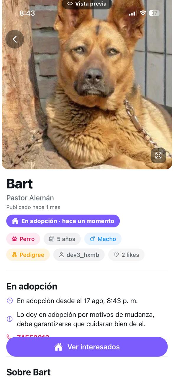 Mascotas en adopción en Timpet