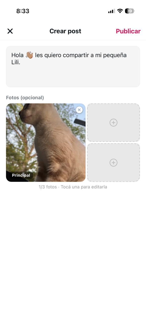 Crear post en Timpet