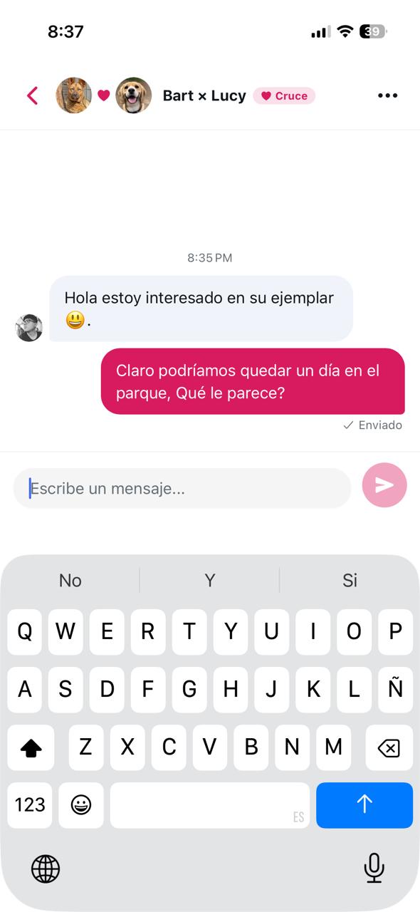 Chat en vivo en Timpet