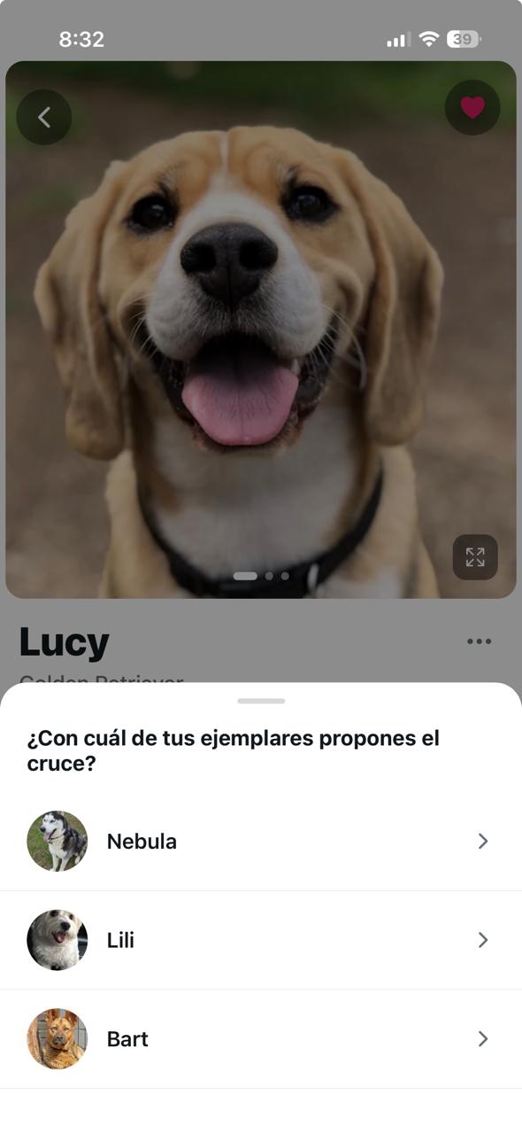Proponer match en Timpet