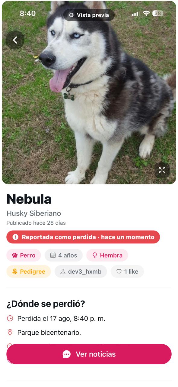Reporte de mascota perdida en Timpet